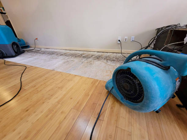 Reliable Basement Flood Cleanup contractor in Clearwater, MN by Hirex Water Damage