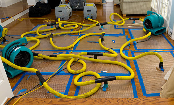 Professional Basement Flood Cleanup technician working in Clearwater, MN
